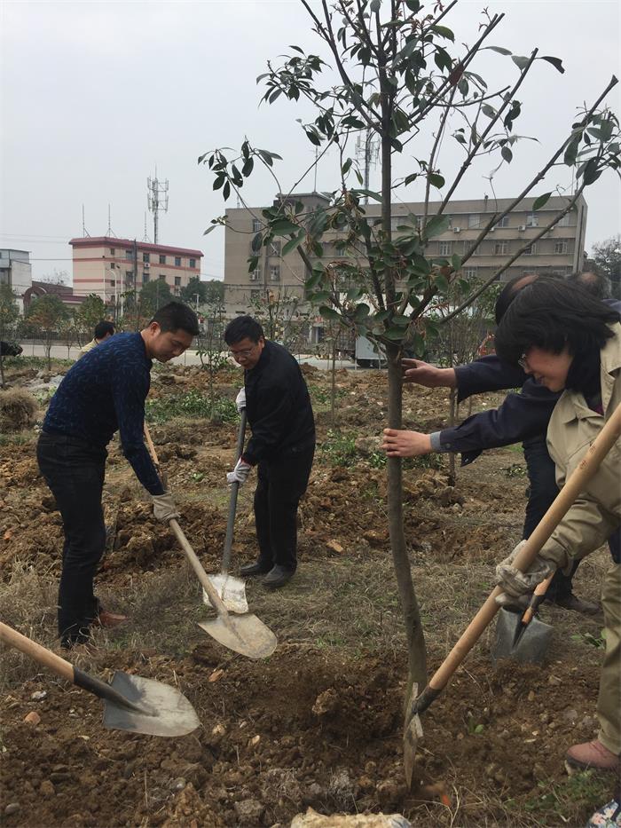 公司組織開(kāi)展植樹(shù)活動(dòng)為企業(yè)增綠添彩